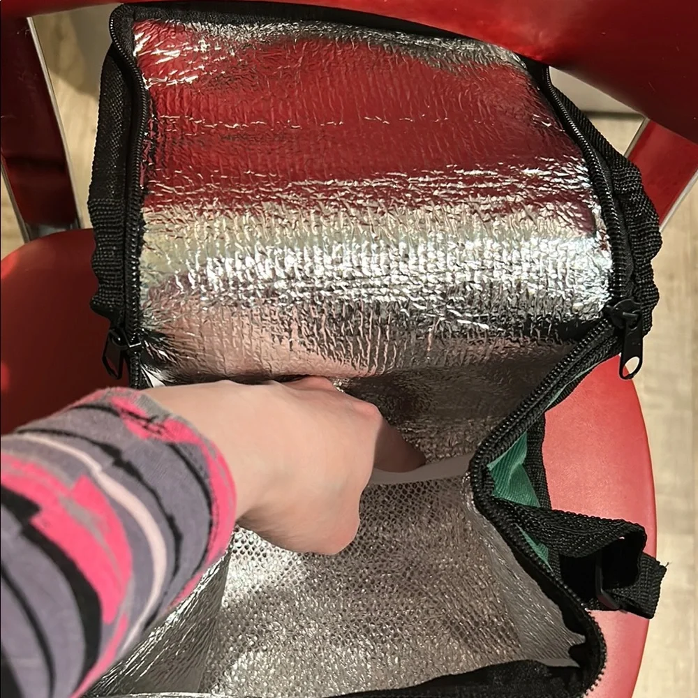 Green and Black Insulated Bag